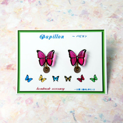 ☆煌めくモルフォ蝶のイヤリング☆彡 3枚目の画像