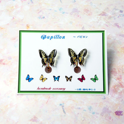 ☆煌めくアゲハ蝶のイヤリング☆彡 3枚目の画像