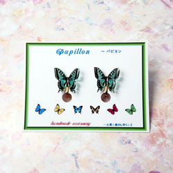 ☆煌めくアゲハ蝶のイヤリング☆彡 1枚目の画像