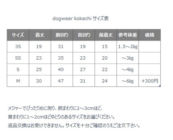  第10張的照片