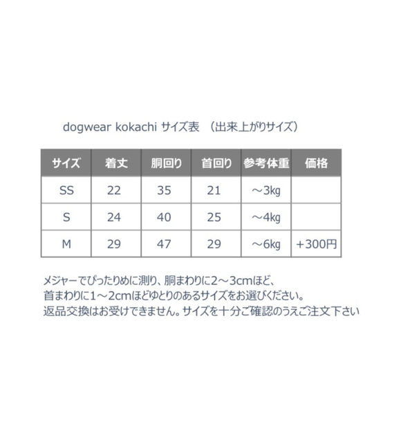  第9張的照片