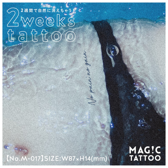 MAG!C TATTOO / No pain no gain (No.M-017) 2枚目の画像