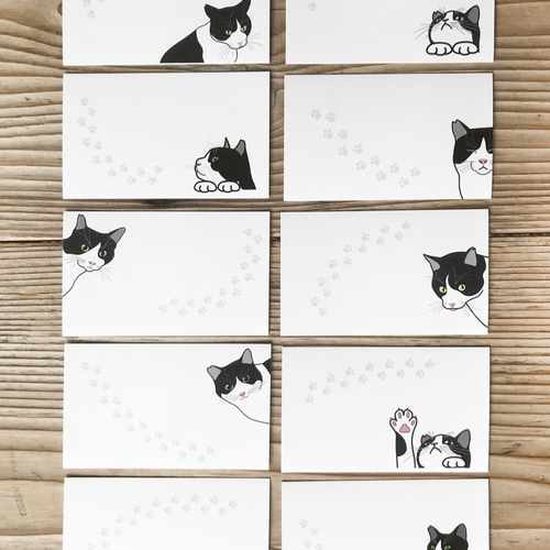 注目の 猫のメッセージカード ハチわれ猫 イラスト 千繪 通販 10022635 文房具・ステーショナリー
