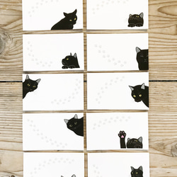 猫のメッセージカード　黒猫2 1枚目の画像