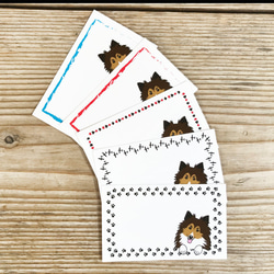 犬のメッセージカード　シェットランドシープドッグ 1枚目の画像