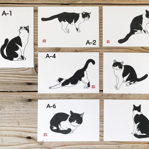 選べる猫のポストカード『A』 5枚組 イラスト 千繪 通販 9468140
