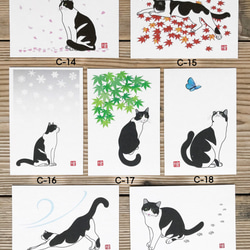 選べる猫のポストカード『C』　5枚組 1枚目の画像