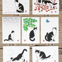 選べる猫のポストカード『C』 5枚組 イラスト 千繪 通販 9722611