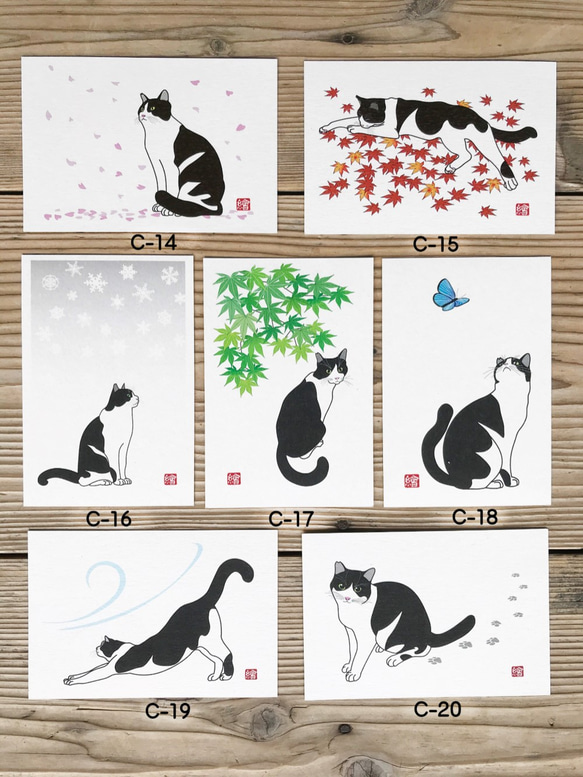 選べる猫のポストカード『C』 5枚組 イラスト 千繪 通販 9722611
