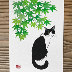 選べる猫のポストカード『C』　5枚組 5枚目の画像