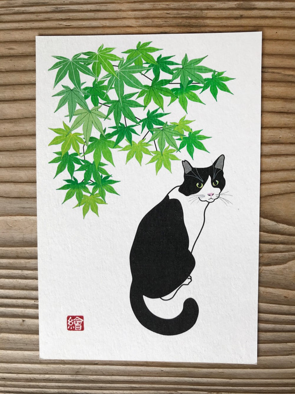 選べる猫のポストカード『C』　5枚組 5枚目の画像