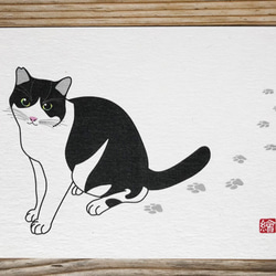 選べる猫のポストカード『C』　5枚組 8枚目の画像