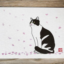 猫のポストカード　フレーム付き　「桜」 2枚目の画像