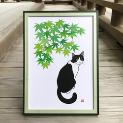 猫のポスター　A4サイズ　「青紅葉」 1枚目の画像