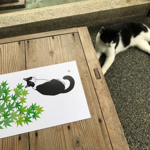 猫のポスター A4サイズ 「青紅葉」 イラスト 千繪 通販 9767885