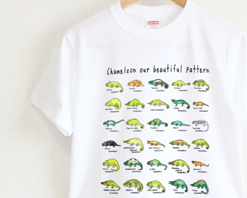 美しいカメレオンの世界 メンズタイプ Tシャツ marutaka 通販 6744131