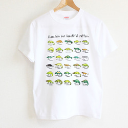 美しいカメレオンの世界　メンズタイプ 2枚目の画像