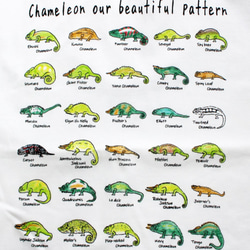 美しいカメレオンの世界　メンズタイプ 3枚目の画像