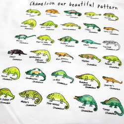 美しいカメレオンの世界　メンズタイプ 4枚目の画像