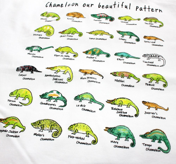 美しいカメレオンの世界　メンズタイプ 4枚目の画像