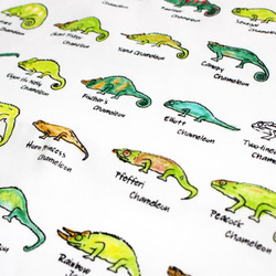 美しいカメレオンの世界　メンズタイプ 6枚目の画像