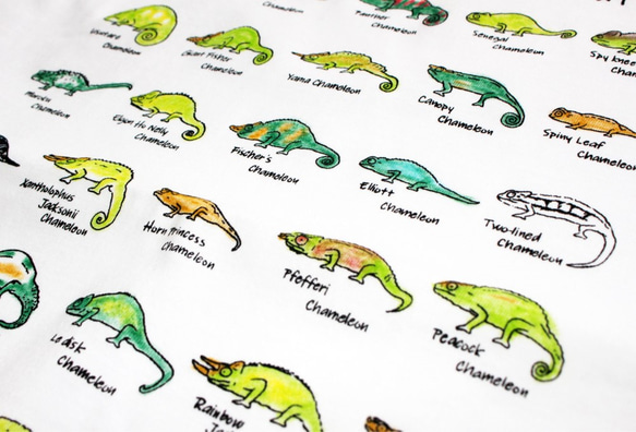 美しいカメレオンの世界　メンズタイプ 6枚目の画像