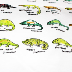 美しいカメレオンの世界　メンズタイプ 7枚目の画像