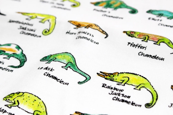 美しいカメレオンの世界　メンズタイプ 10枚目の画像