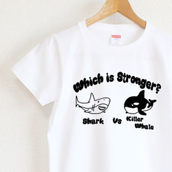 サメとシャチはどっちが強いの？Ｔシャツ　レディースタイプ 1枚目の画像