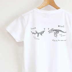 サメとシャチはどっちが強いの？Ｔシャツ　レディースタイプ 4枚目の画像