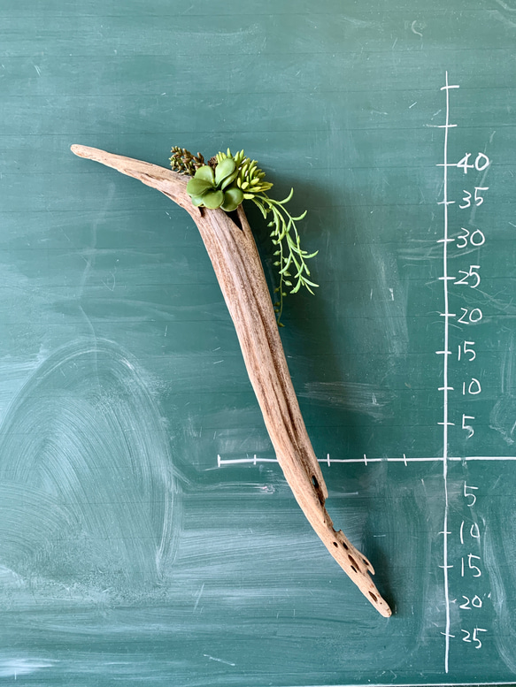 流木アート@壁掛け・花器 その他インテリア雑貨 nagaremono 通販