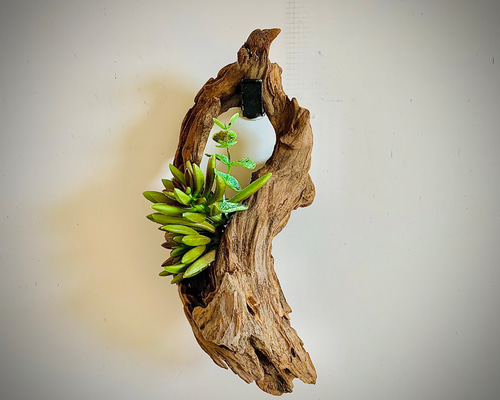 流木アート Artizan Creative Art Productions Table objet 