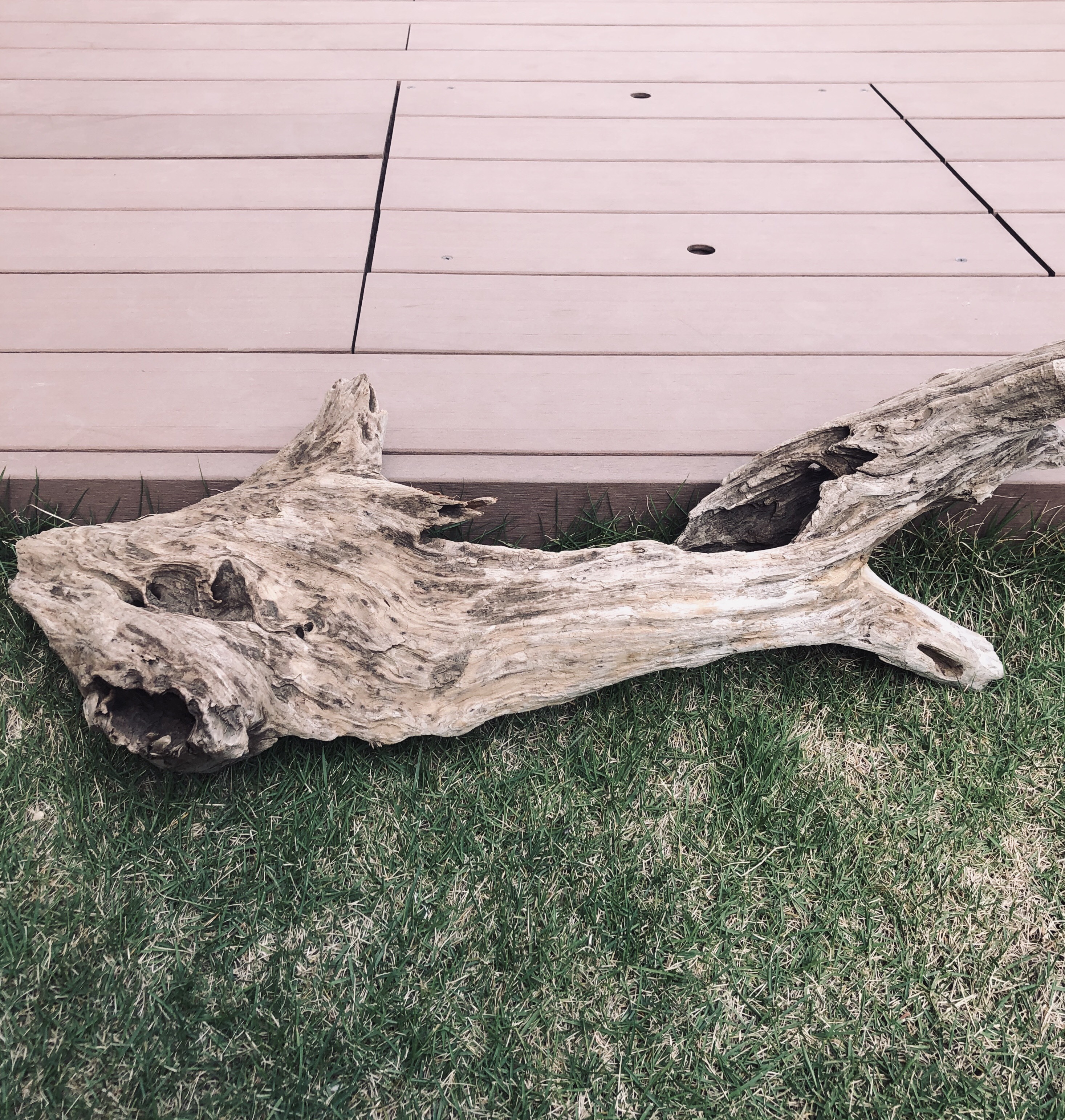 流木　流木アート　001 流木 流木アート 001 - メルカリ