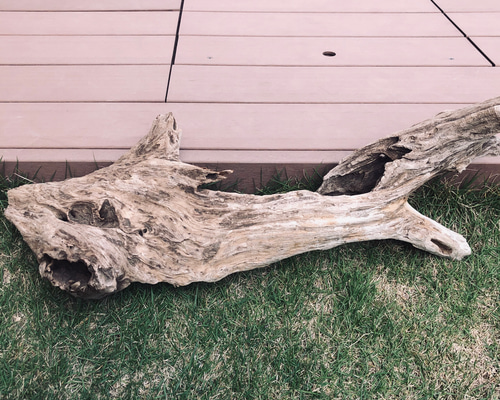 流木のアート工芸品 流木アート，流木オブジェ，流木ライト,流木ディスプレイ,流木