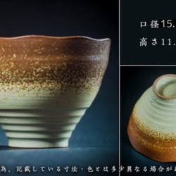 プラチナUzuShio鉢 3枚目の画像