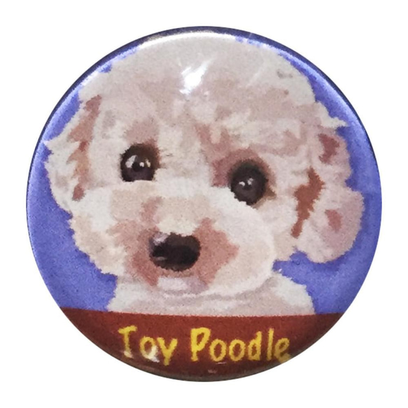 ピンバッジ トイプードル ピンバッチ ピンズ犬 ケース付き 1枚目の画像