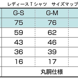  第8張的照片