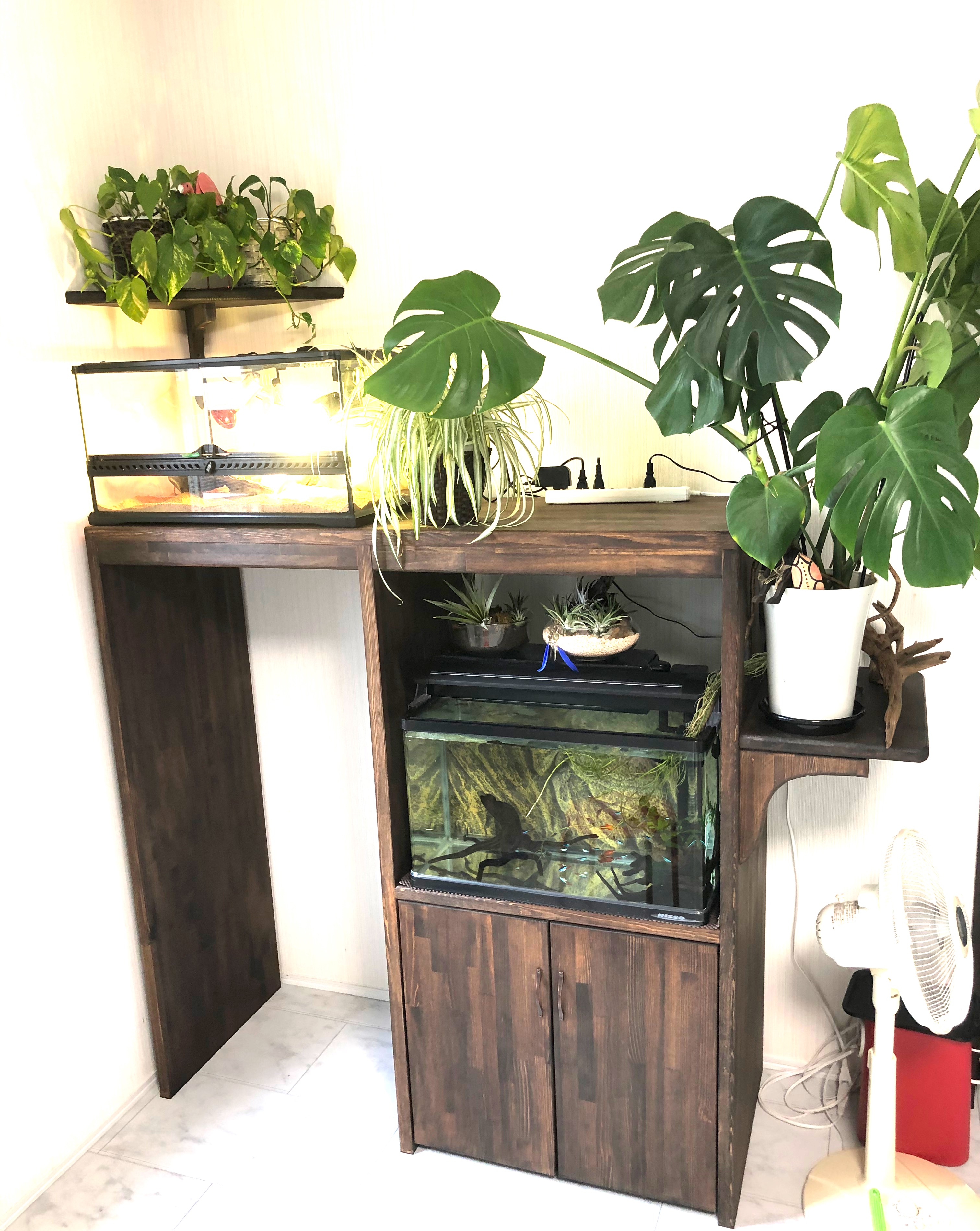 Ｇ38 流木　爬虫類　両生類シェルター　インテリア　観葉植物　ハンドメイド　生花 G38 流木 爬虫類 両生類シェルター インテリア 観葉植物