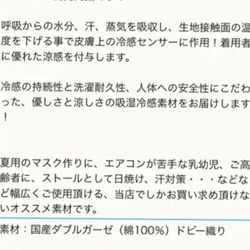 【受注作成】マスクカバー　立体　クールマスク　ホーミーコレクション　リボン　小池都知事愛用柄　小池さんマスク 6枚目の画像