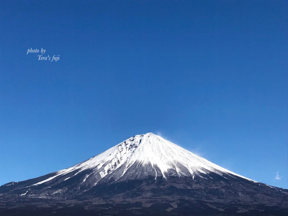 富士山麓で創られたフローラルウォーター＆フラワーレメディ(フラワーエッセンス)　　スプレーボトル 3枚目の画像