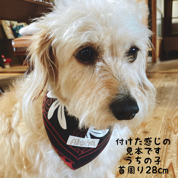 犬用バンダナ　ハワイアン 4枚目の画像