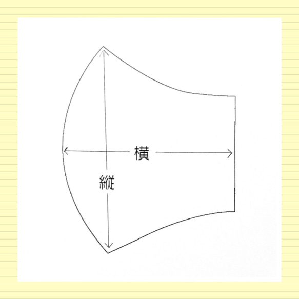  第5張的照片