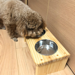 斜め角度付き　ペットの食器台／えさ台／食卓 （小型犬・猫）ペットフードボウル（2色選択） 3枚目の画像