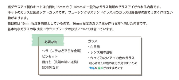 グラスアイ製作の手引書 2枚目の画像