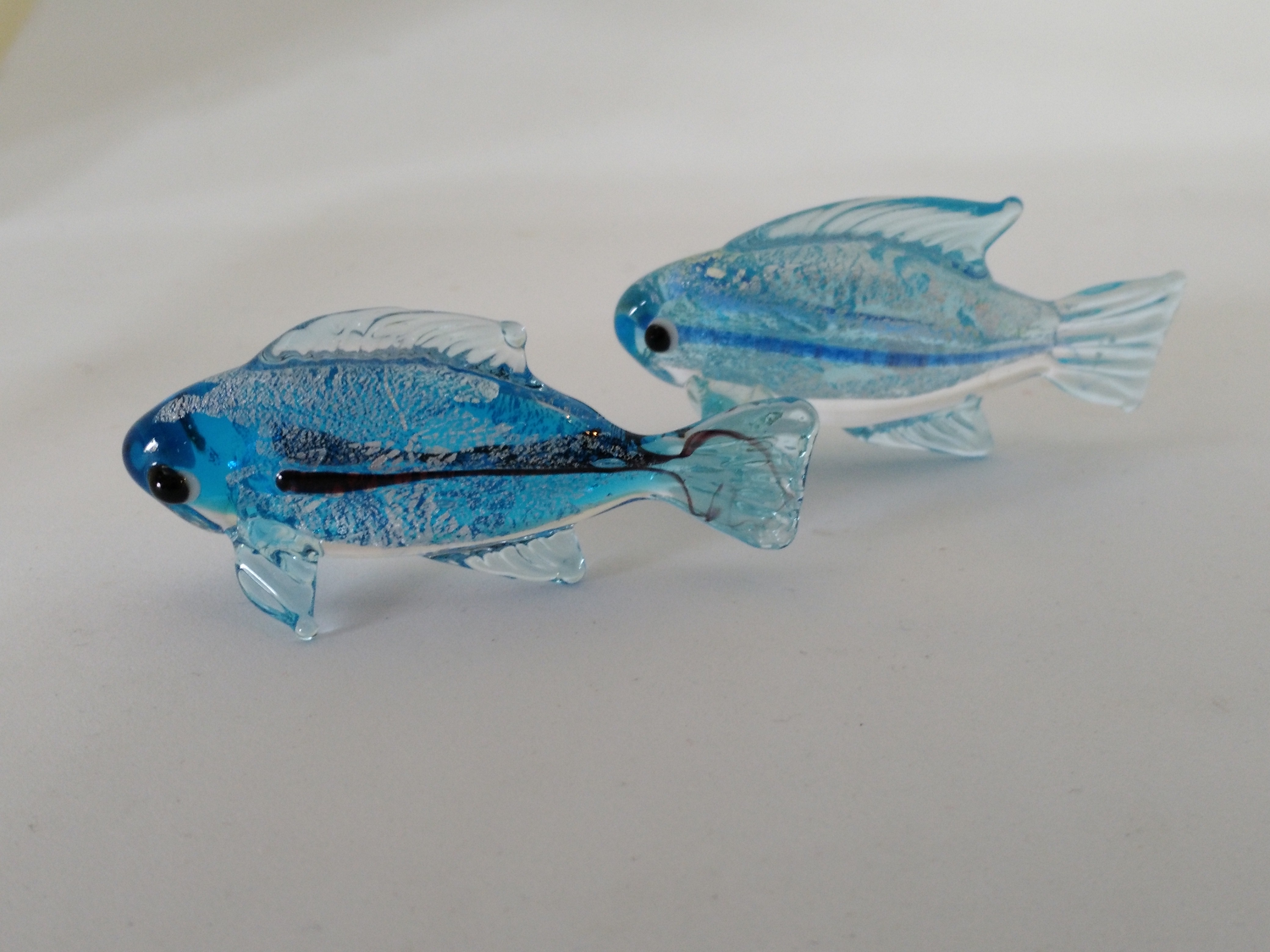 海の妖精　　ルリすずめ