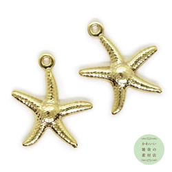 304ステンレス製のヒトデのチャーム（ゴールド）2個セット #C-0116 1枚目の画像