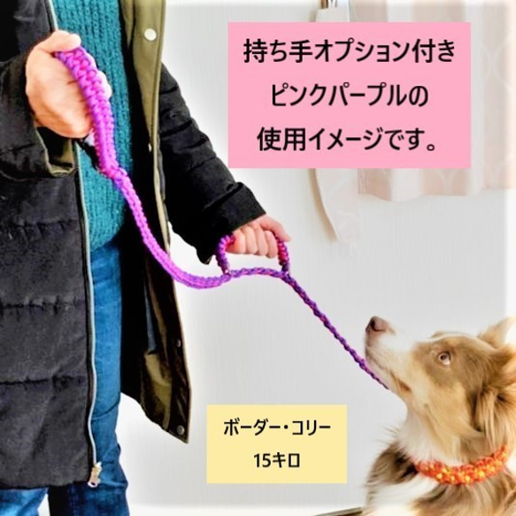 首輪とお揃いパラコードリード（ピンクパープル） リード・首輪