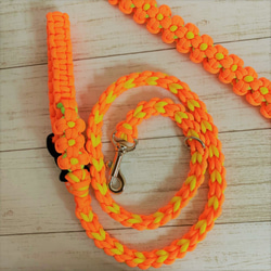 花飾り付き犬用リード（オレンジフラワー）首輪とお揃いパラ