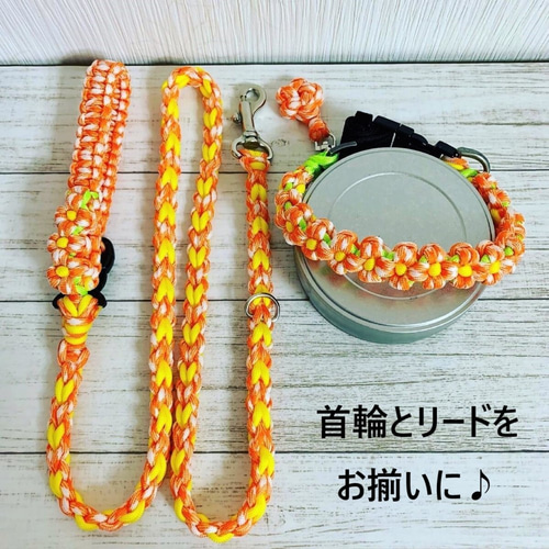 花飾り付き犬用リード（オレンジマールフラワー・イエロー）首輪とお