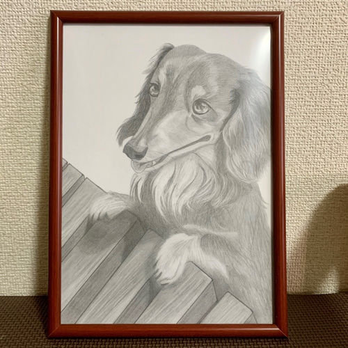 犬と縁側の鉛筆画（ミニチュアダックスフンド） イラスト yukana-bell 